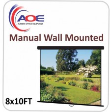 Manual Wall Mounted Matte White 8x10FT 